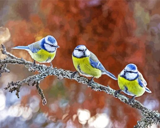 birds blue eurasian Diamond By Numbers