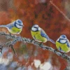 birds blue eurasian Diamond By Numbers