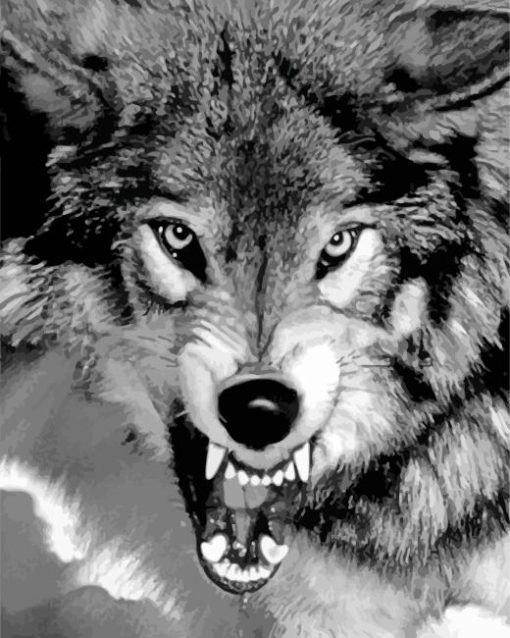 black and white growling wolf Diamond By Numbers