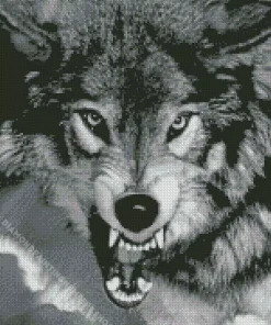 black and white growling wolf Diamond By Numbers
