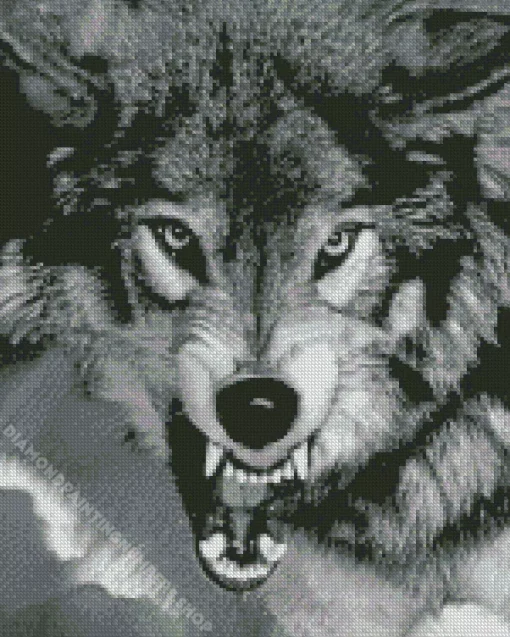 black and white growling wolf Diamond By Numbers