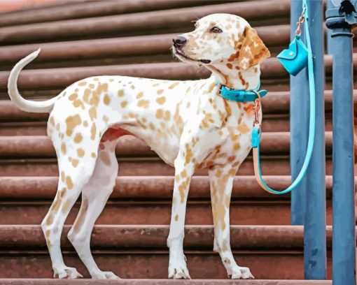 blond dalmatian Diamond By Numbers