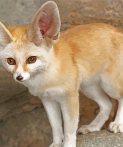 blond fox Diamond By Numbers