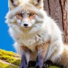 blond fox animal Diamond By Numbers