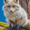 blond fox animal Diamond By Numbers