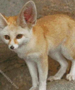 blond fox Diamond By Numbers