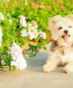 blond morkie Diamond By Numbers