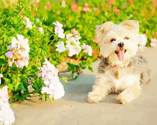 blond morkie Diamond By Numbers