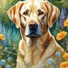 blonde labrador Diamond With Numbers