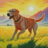 blonde labrador wearing glasses Diamond With Numbers