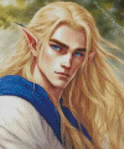 blonde male elf Diamond By Numbers