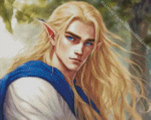 blonde male elf Diamond By Numbers