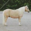 blonde pony Diamond With Numbers