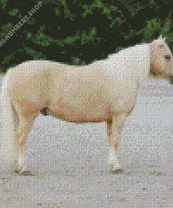 blonde pony Diamond With Numbers