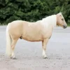 blonde pony Diamond With Numbers
