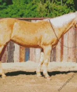 blonde stallion Diamond With Numbers