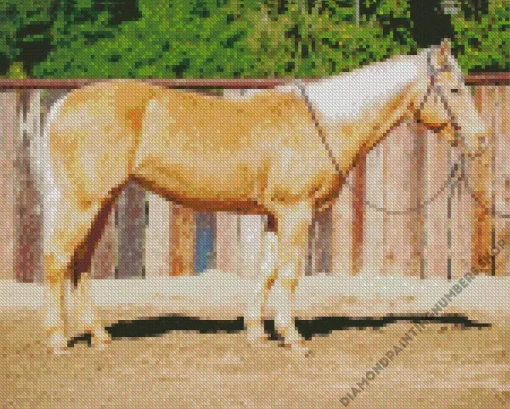 blonde stallion Diamond With Numbers