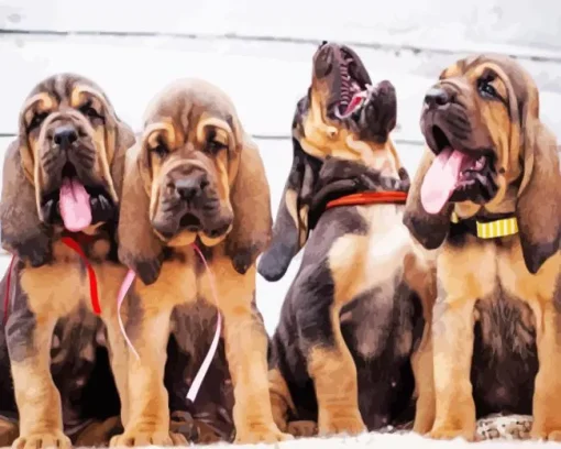 bloodhound puppies Diamond With Numbers