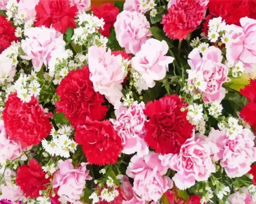 blooming carnation flowers Diamond Paintings