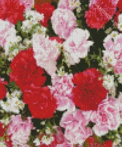 blooming carnation flowers Diamond Paintings