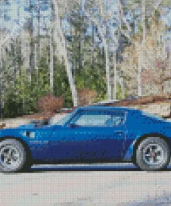 blue 1978 trans am (2) Diamond With Numbers