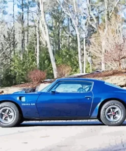 blue 1978 trans am (2) Diamond With Numbers
