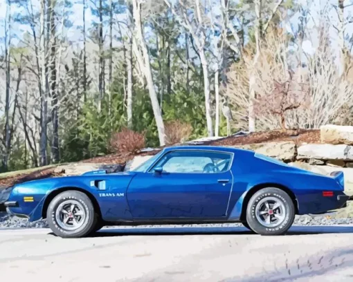 blue 1978 trans am (2) Diamond With Numbers