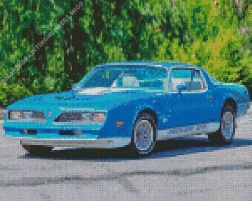 blue 1978 trans am Diamond With Numbers