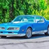 blue 1978 trans am Diamond With Numbers