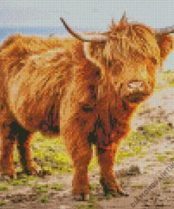 brown fluffy cow Diamond With Numbers