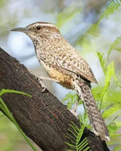 cactus wren Diamond With Numbers