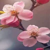 cherry blossom flowers Diamond Paintings