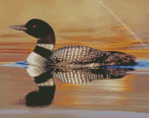 common loon Diamond With Numbers