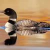 common loon Diamond With Numbers