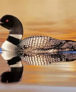 common loon Diamond With Numbers