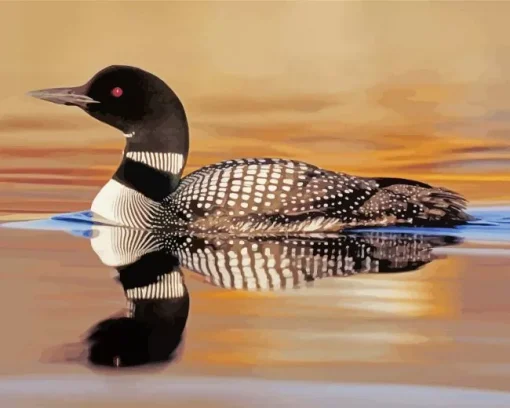 common loon Diamond With Numbers
