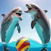 dolphin playing with ball Diamond Paintings