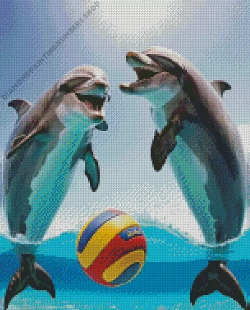 dolphin playing with ball Diamond Paintings