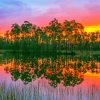 everglades national park sunset Diamond By Numbers