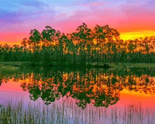 everglades national park sunset Diamond By Numbers