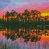 everglades national park sunset Diamond By Numbers