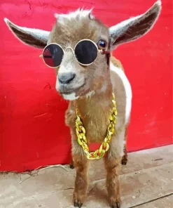 goat with sunglasses Diamond With Numbers