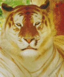 golden tiger Diamond Dotz