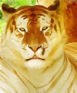 golden tiger Diamond Dotz