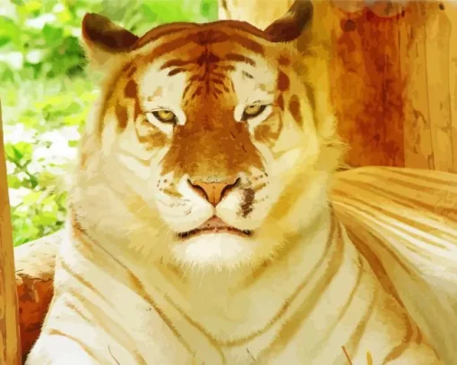 golden tiger Diamond Dotz