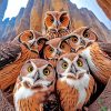 group of owls birds Diamond By Numbers