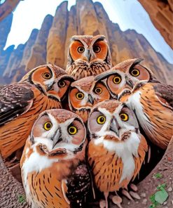 group of owls birds Diamond By Numbers