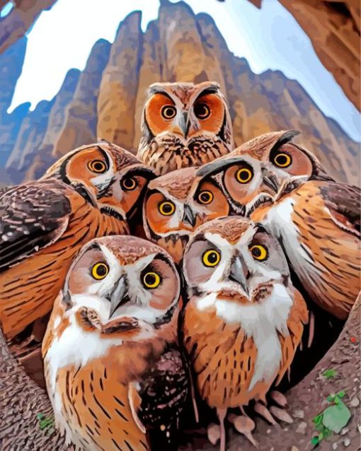 group of owls birds Diamond By Numbers