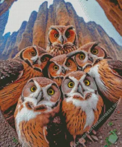 group of owls birds Diamond By Numbers