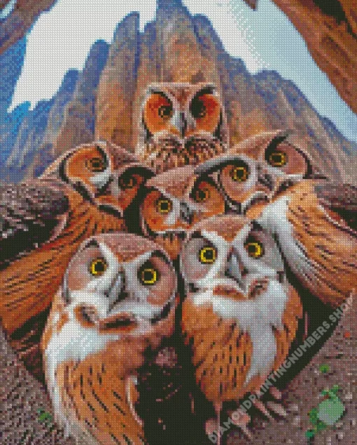 group of owls birds Diamond By Numbers
